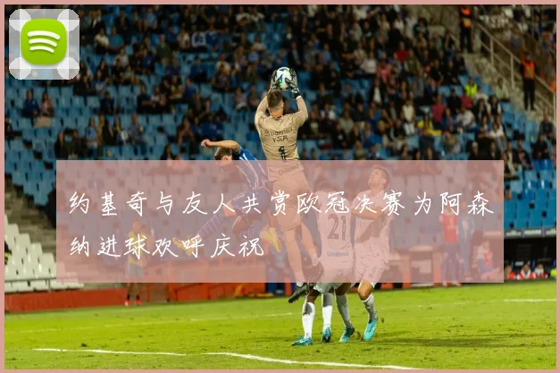 约基奇与友人共赏欧冠决赛为阿森纳进球欢呼庆祝