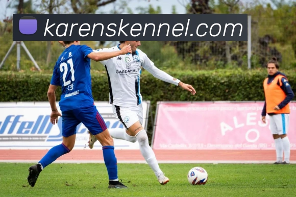 mksports最新官网品牌故事